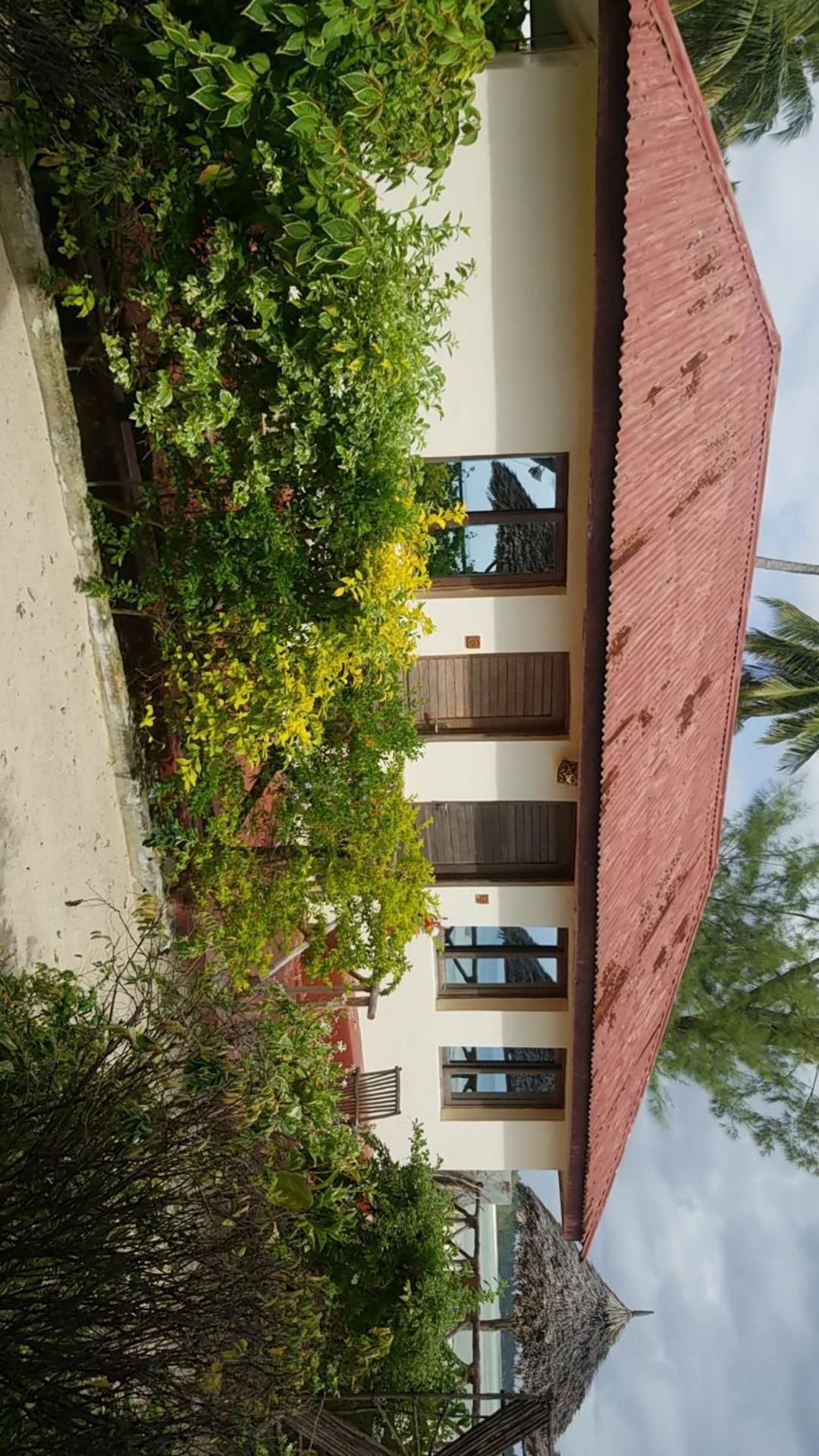 Amber Lodge Pongwe Kültér fotó