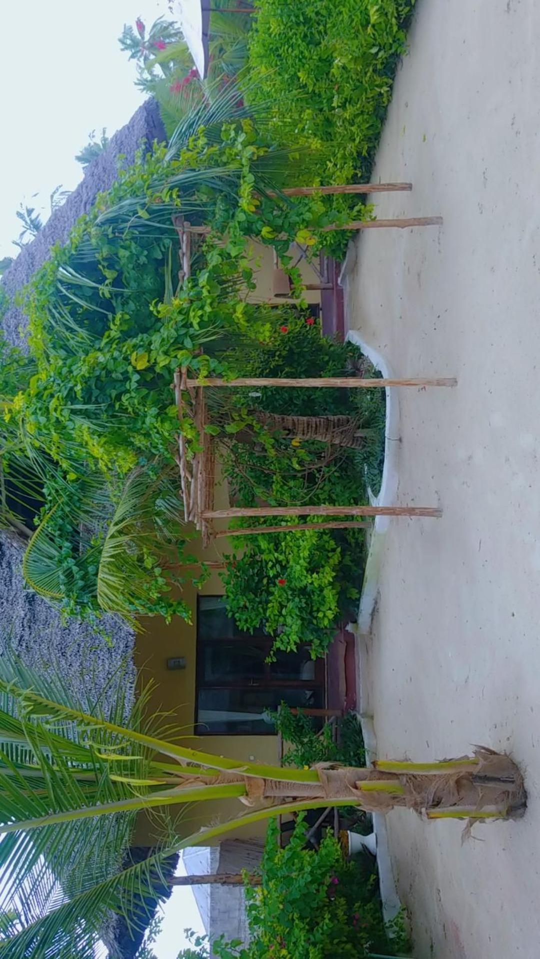 Amber Lodge Pongwe Kültér fotó
