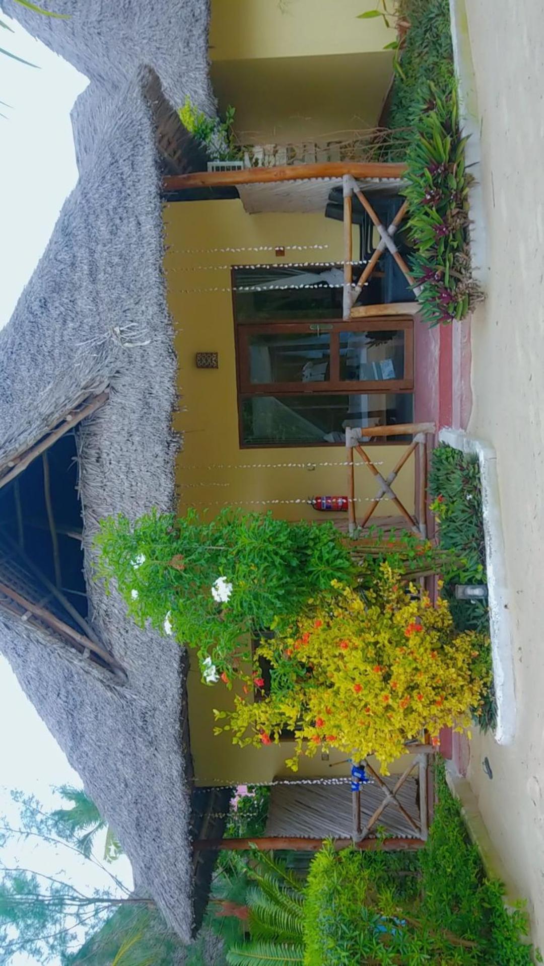 Amber Lodge Pongwe Kültér fotó